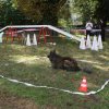 foire-haricots 2011-09-17et18